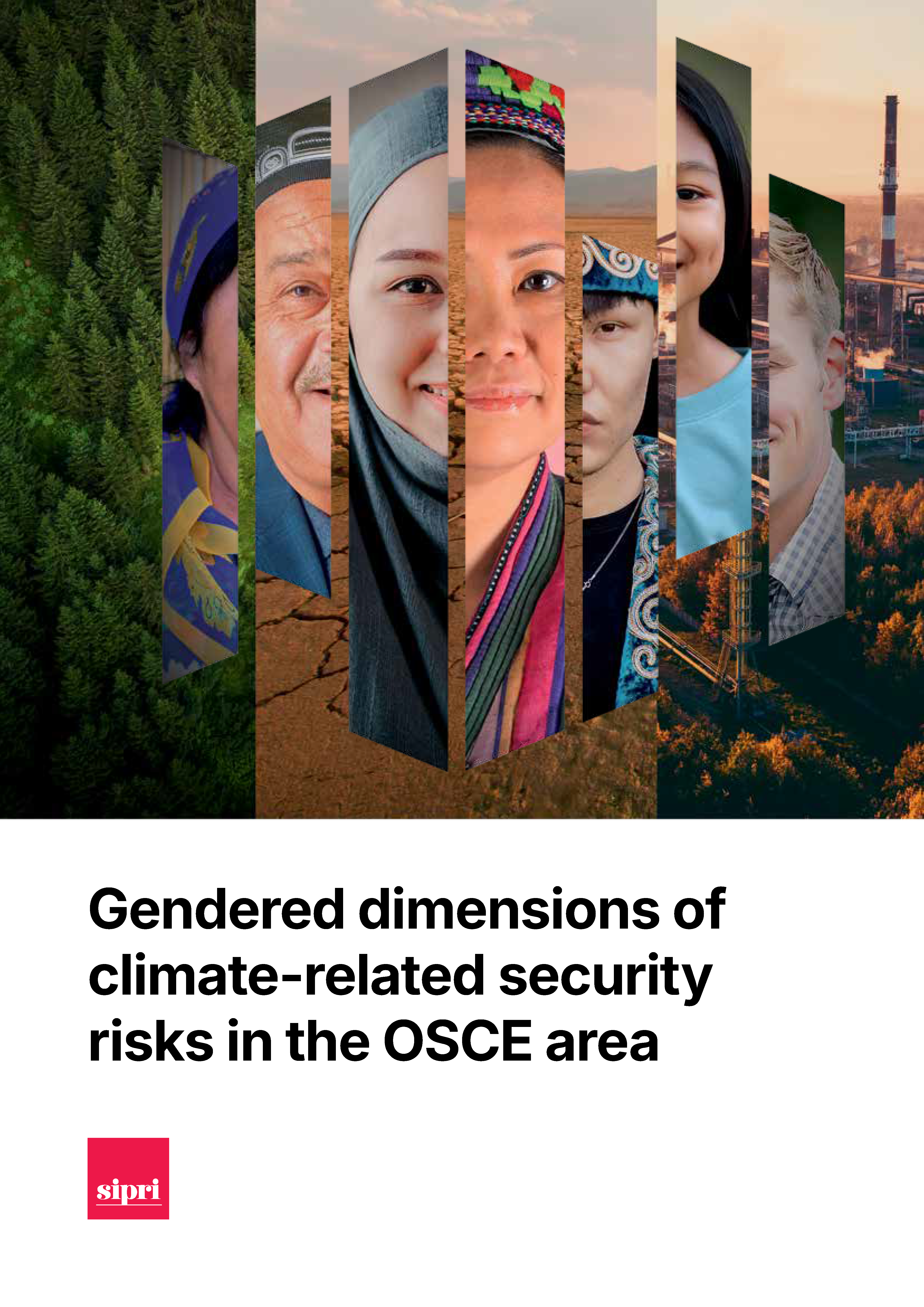 Gendered dimensions of climate-related security risks in the OSCE area