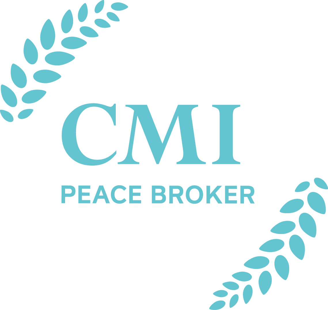 Crisis Management Initiative (CMI)