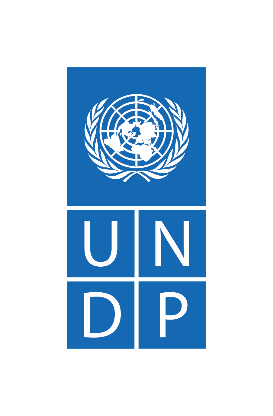 UN DPO