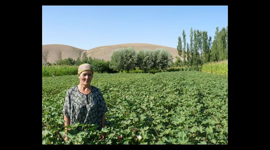 Farmer in Kyrgyzstan