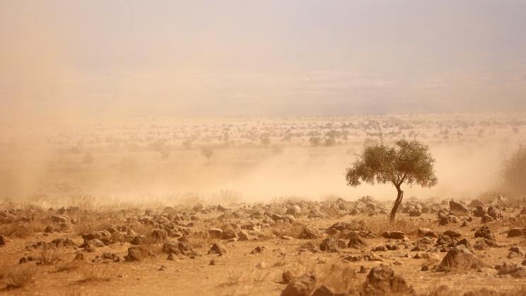 Plains in Kenya. Photo: Shutterstock