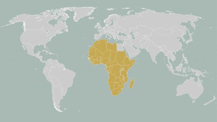African Countries Using Cryptocurrency