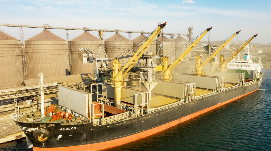 Grain being loaded into holds of sea cargo vessel, Odessa, Ukraine, Aug. 2021. Shutterstock/Elena Larina