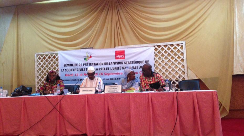 Seminar to support a new strategic vision for peace in Mali