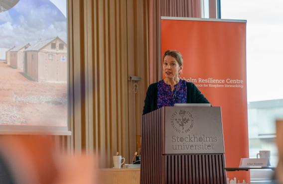 SIPRI joins high-level meeting of the Stockholm Hub on Environment, Climate and Security