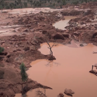 The film shows the devastating impact that gold panning activities have on the natural environment.