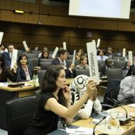 Participants 'vote' during a Diplomacy & Public Policy course run by the CTBTO