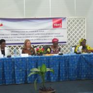 Seminar in Mali to launch SIPRI's new Mali project