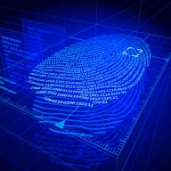 cyber fingerprint