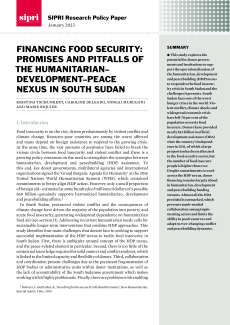 Nexus South Sudan_cover