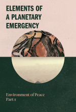 elements_of_a_planetary_emergency-_environment_of_peace_part_1