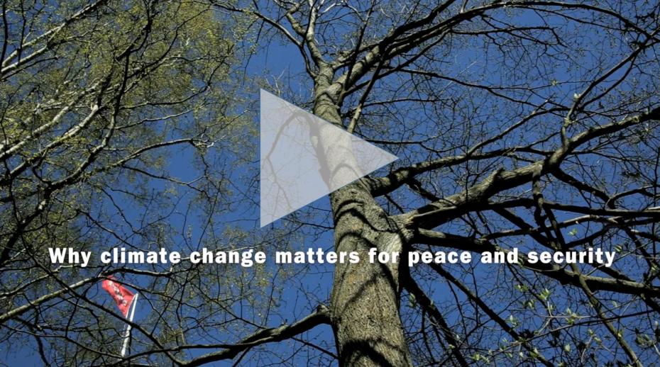 SIPRI launches film on climate change, peace and security