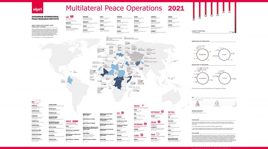 Multilateral peace operations in 2020