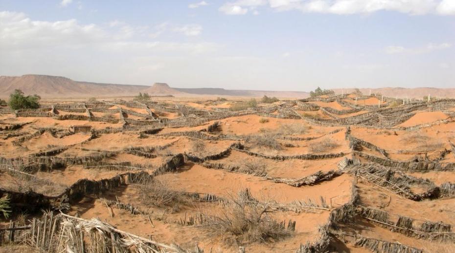 Anti-desertification sand fences in Morocco