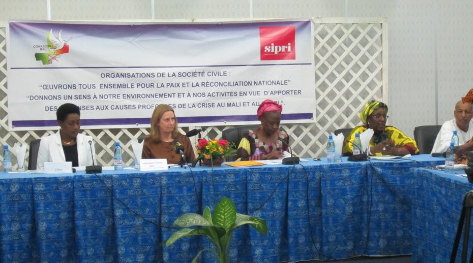 Seminar in Mali to launch SIPRI's new Mali project