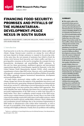 Nexus South Sudan_cover